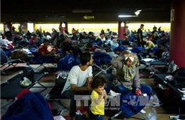 130.000 người “biến mất” khỏi các cơ sở tị nạn ở Đức